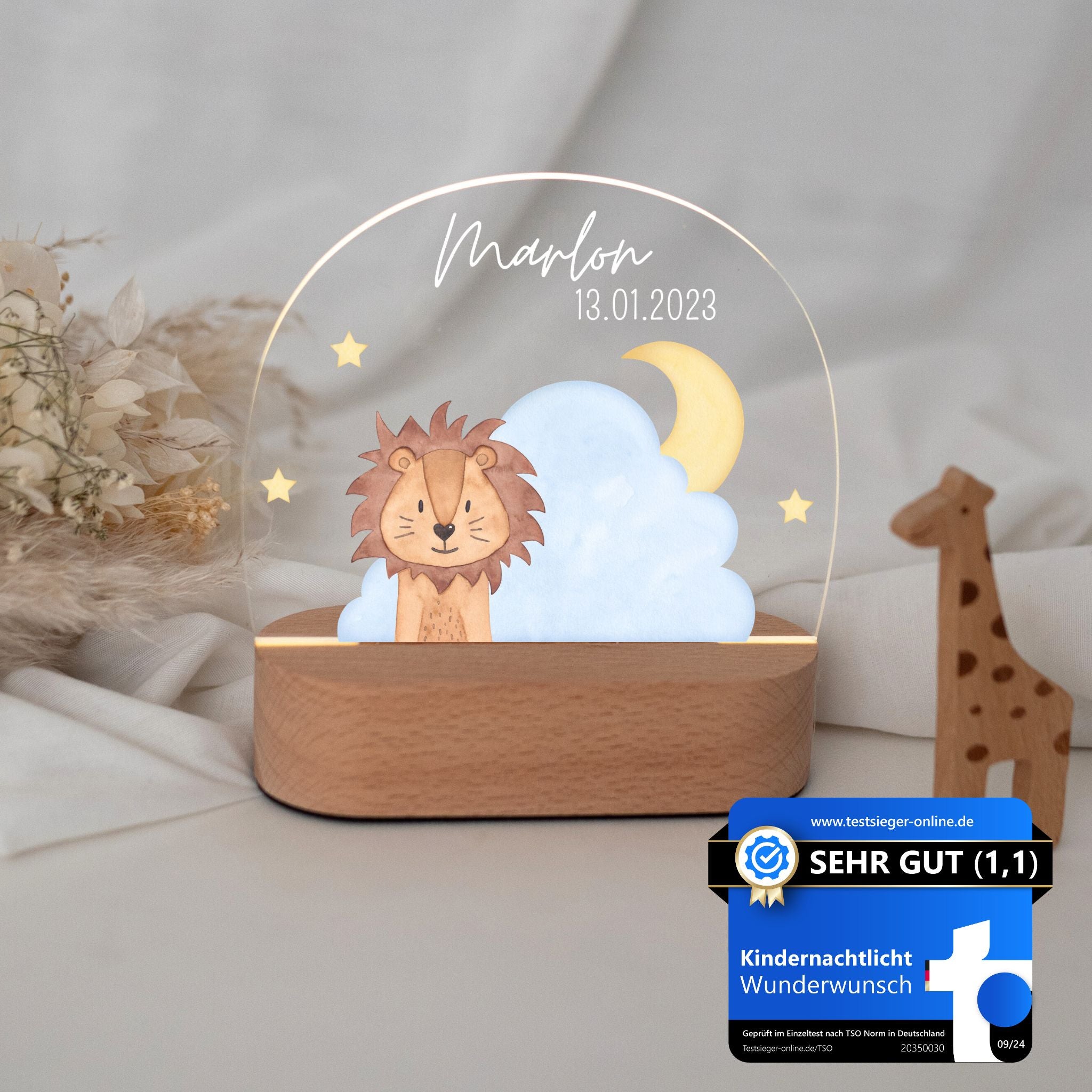 LED Nachtlicht Kinder personalisiert - Wolkentier Aquarell